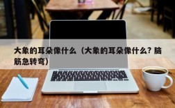 大象的耳朵像什么（大象的耳朵像什么? 脑筋急转弯）