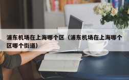 浦东机场在上海哪个区（浦东机场在上海哪个区哪个街道）