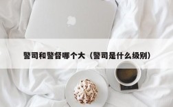 警司和警督哪个大（警司是什么级别）
