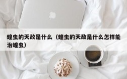 蝗虫的天敌是什么（蝗虫的天敌是什么怎样能治蝗虫）