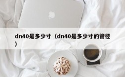 dn40是多少寸（dn40是多少寸的管径）