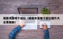 猪脆骨是哪个部位（猪脆骨是哪个部位图片大全集图解）