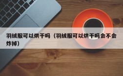 羽绒服可以烘干吗（羽绒服可以烘干吗会不会炸掉）