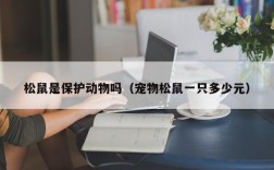 松鼠是保护动物吗（宠物松鼠一只多少元）