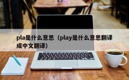 pla是什么意思（play是什么意思翻译成中文翻译）