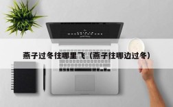 燕子过冬往哪里飞（燕子往哪边过冬）