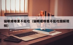 猫眼螺哪里不能吃（猫眼螺哪里不能吃图解视频）