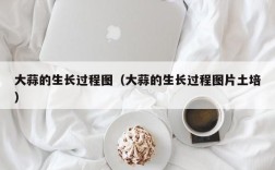 大蒜的生长过程图（大蒜的生长过程图片土培）