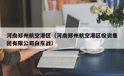 河南郑州航空港区（河南郑州航空港区投资集团有限公司白东战）