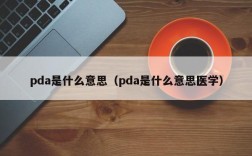 pda是什么意思（pda是什么意思医学）