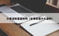 小麦淀粉是面粉吗（全麦粉是什么面粉）