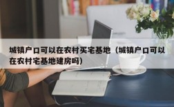城镇户口可以在农村买宅基地（城镇户口可以在农村宅基地建房吗）