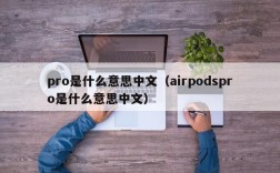 pro是什么意思中文（airpodspro是什么意思中文）