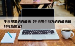 牛肉哪里的肉最嫩（牛肉哪个地方的肉最嫩最好吃最便宜）