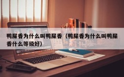 鸭屎香为什么叫鸭屎香（鸭屎香为什么叫鸭屎香什么等级好）