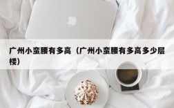 广州小蛮腰有多高（广州小蛮腰有多高多少层楼）