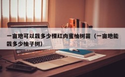 一亩地可以栽多少棵红肉蜜柚树苗（一亩地能栽多少柚子树）