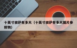 十英寸披萨有多大（十英寸披萨有多大图片参照物）
