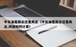 中石油是国企还是央企（中石油是国企还是央企,待遇如何计算）