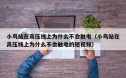 小鸟站在高压线上为什么不会触电（小鸟站在高压线上为什么不会触电的短视频）