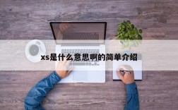 xs是什么意思啊的简单介绍