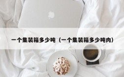 一个集装箱多少吨（一个集装箱多少吨肉）