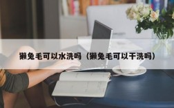 獭兔毛可以水洗吗（獭兔毛可以干洗吗）