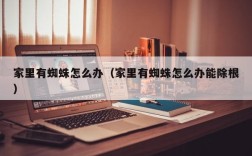 家里有蜘蛛怎么办（家里有蜘蛛怎么办能除根）