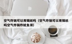 空气炸锅可以用锡纸吗（空气炸锅可以用锡纸吗空气炸锅炸鱿鱼须）