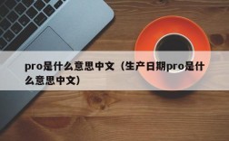 pro是什么意思中文（生产日期pro是什么意思中文）