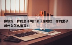 像蜈蚣一样的虫子叫什么（像蜈蚣一样的虫子叫什么怎么消灭）