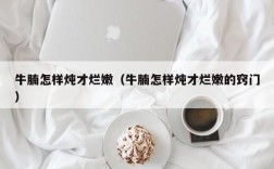 牛腩怎样炖才烂嫩（牛腩怎样炖才烂嫩的窍门）