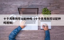 十个月母狗可以配种吗（十个月母狗可以配种吗视频）
