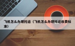 飞机怎么办理托运（飞机怎么办理托运收费标准）