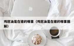 鸡冠油是在猪的哪里（鸡冠油是在猪的哪里图解）