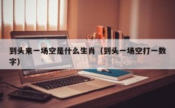到头来一场空是什么生肖（到头一场空打一数字）