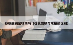 谷氨酸钠是味精吗（谷氨酸钠与味精的区别）
