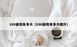 100亩地有多大（100亩地有多大图片）