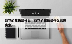 菊花的花语是什么（菊花的花语是什么意思 寓意）