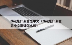 flag是什么意思中文（flag是什么意思中文翻译怎么读）