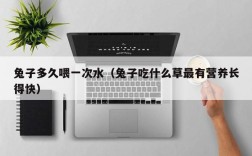 兔子多久喂一次水（兔子吃什么草最有营养长得快）