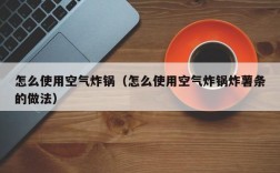 怎么使用空气炸锅（怎么使用空气炸锅炸薯条的做法）