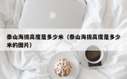 泰山海拔高度是多少米（泰山海拔高度是多少米的图片）