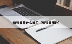 鸭锁骨是什么部位（鸭锁骨图片）
