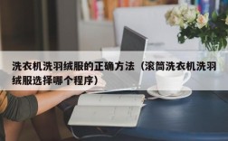 洗衣机洗羽绒服的正确方法（滚筒洗衣机洗羽绒服选择哪个程序）