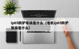 ip65防护等级是什么（电机ip65防护等级是什么）