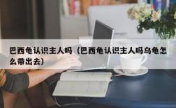 巴西龟认识主人吗（巴西龟认识主人吗乌龟怎么带出去）