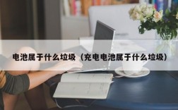 电池属于什么垃圾（充电电池属于什么垃圾）