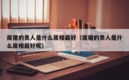 属猪的贵人是什么属相最好（属猪的贵人是什么属相最好呢）