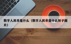 数字人民币是什么（数字人民币是什么样子图片）